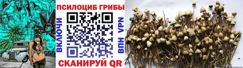 Псилоцибиновые грибы MAGIC MUSHROOMS  blacksprut ссылка  Николаевск 